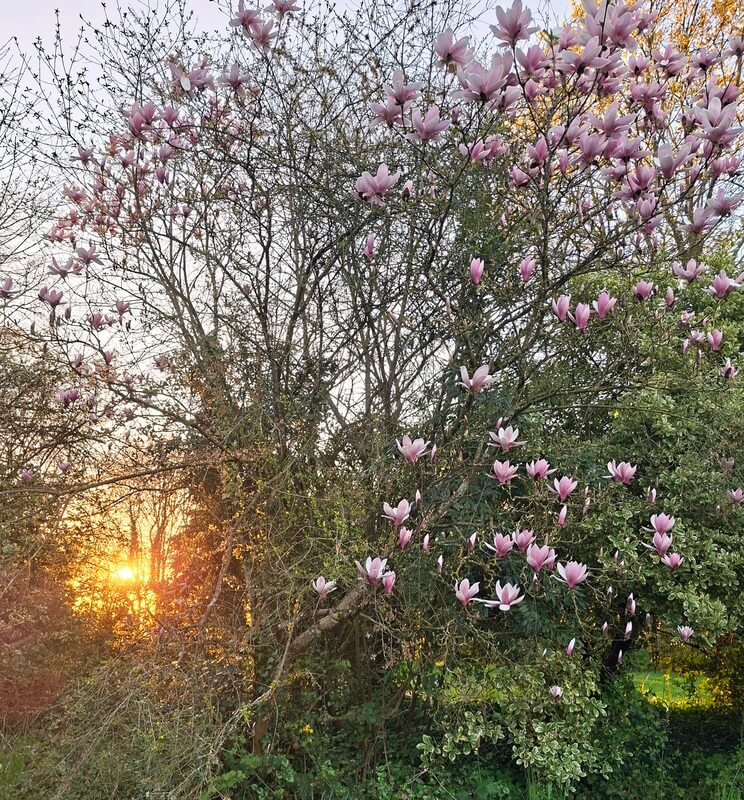 photo du lieu lors du printemps